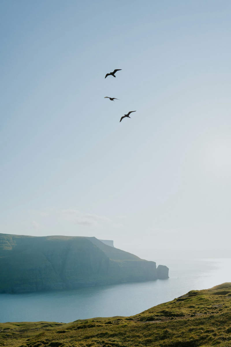 Wall Poster - Coastal Cliffs in the Faroe Islands
