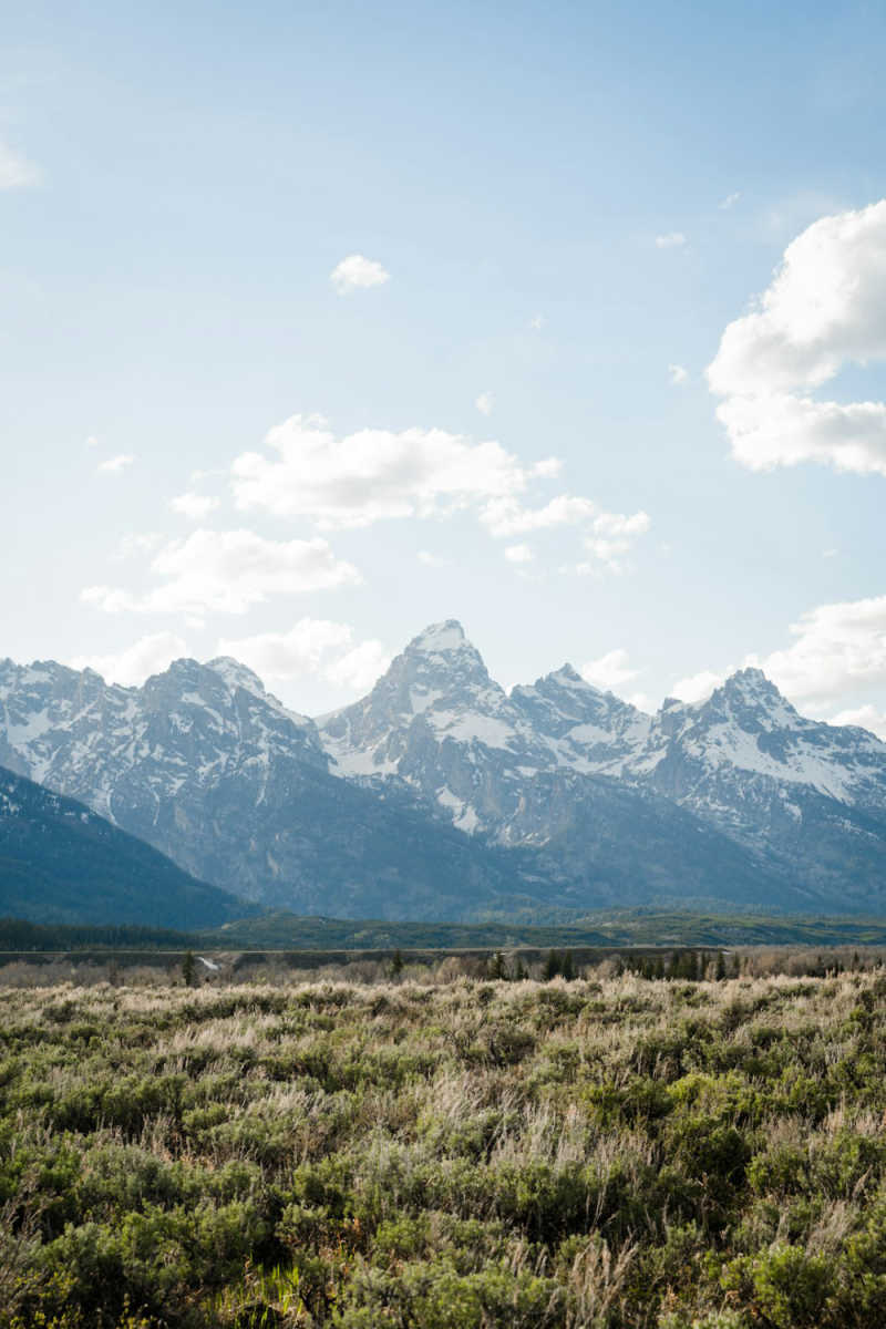 Wall Poster - Coastline in the Grand Tetons