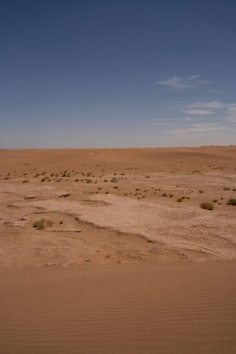 Wall Poster - Coastline in the Sahara