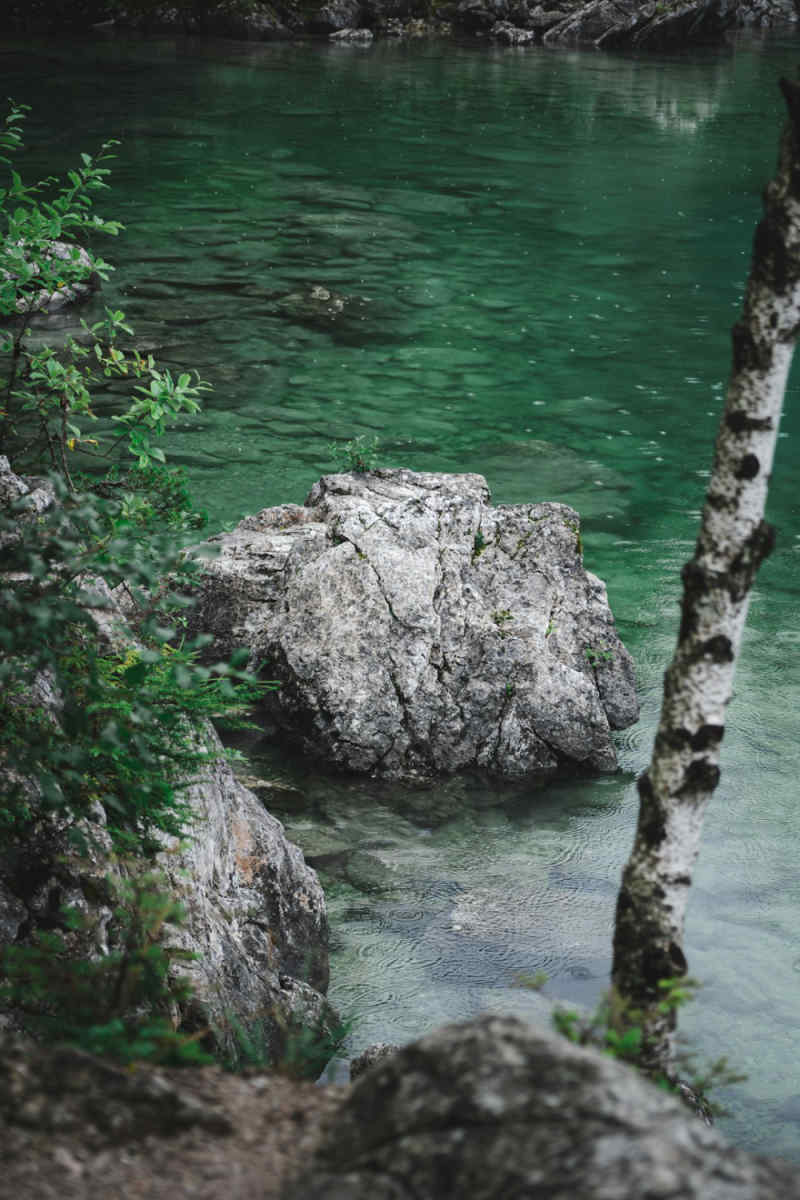 Wall Poster - Coral Reef in Bavaria