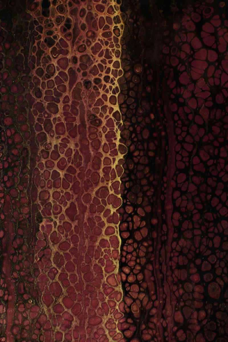 Wall Poster - Coral Reef in Burgundy