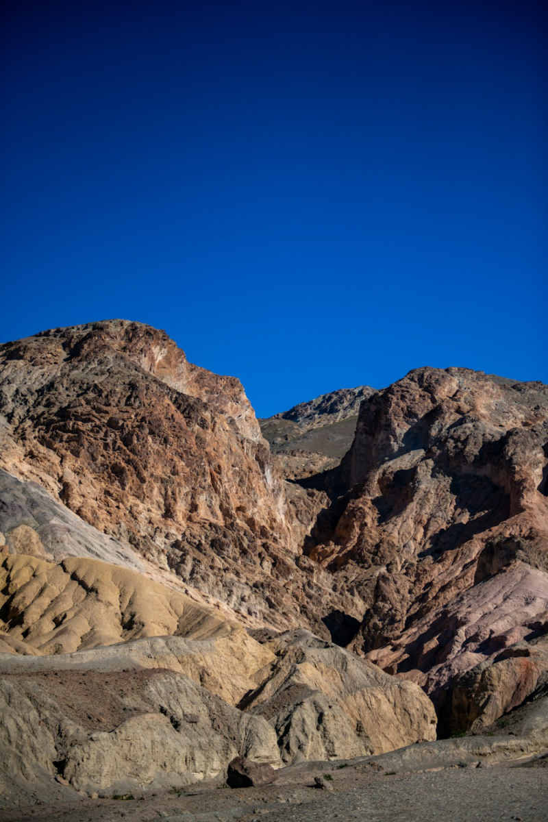 Wall Poster - Coral Reef in Death Valley