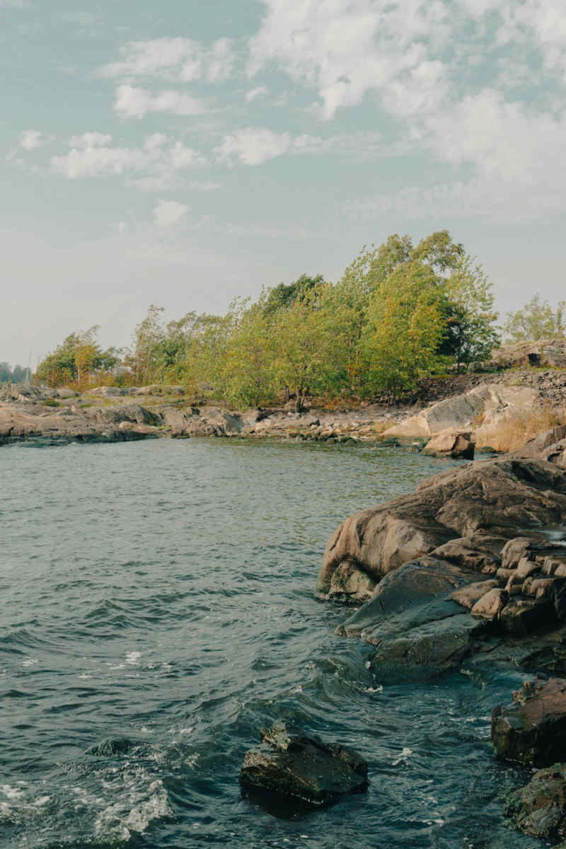 Wall Poster - Coral Reef in Finland