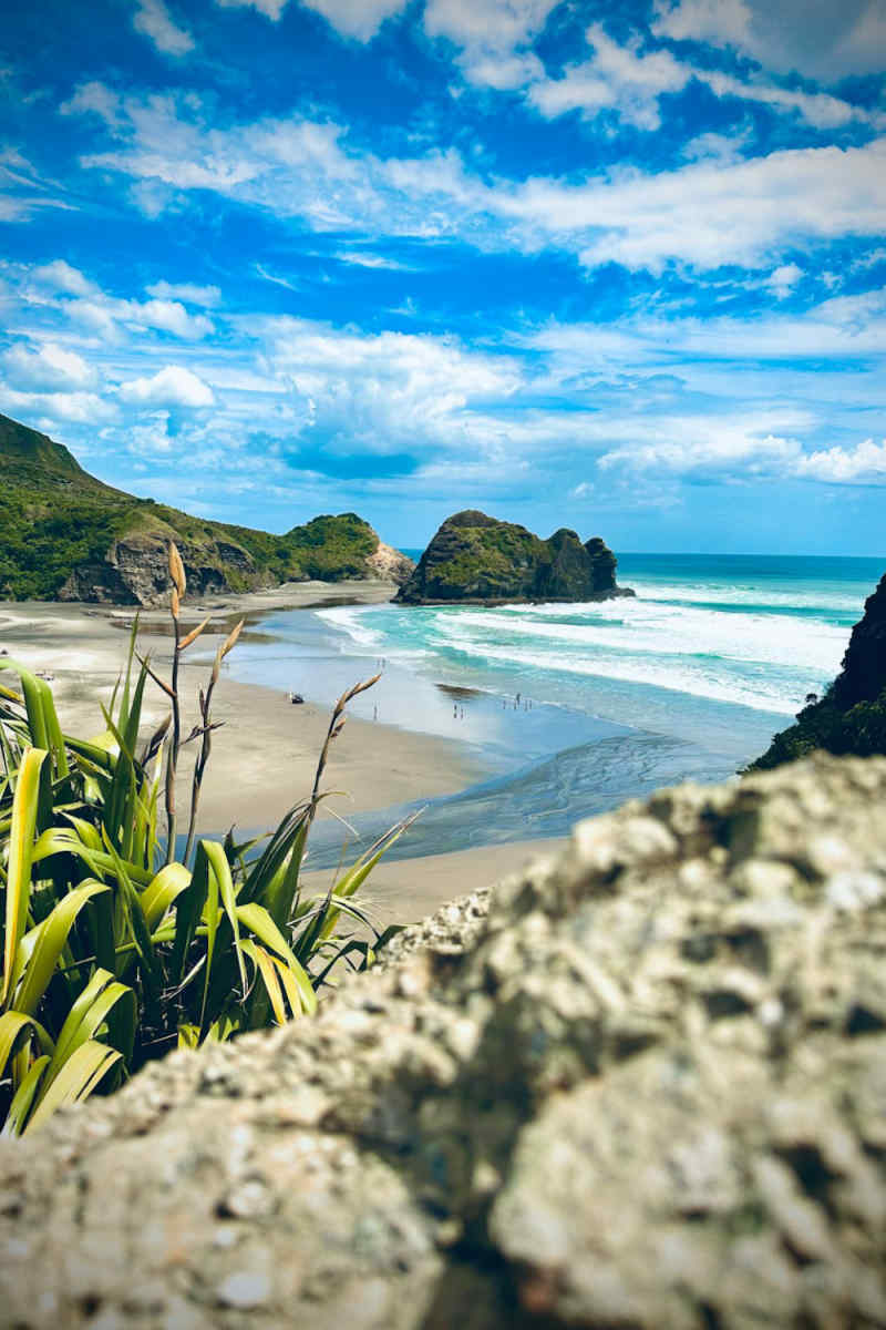 Wall Poster - Coral Reef in New Zealand
