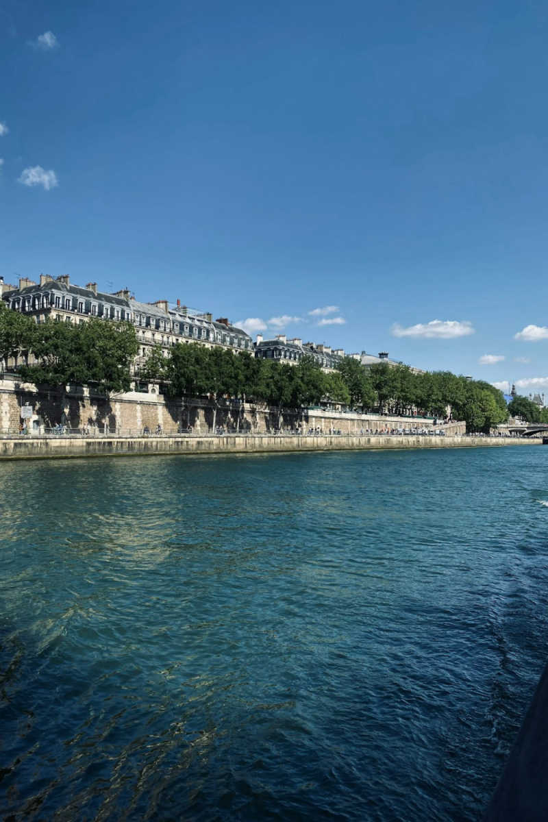 Wall Poster - Coral Reef in Paris