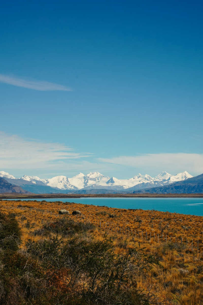 Wall Poster - Coral Reef in Patagonia