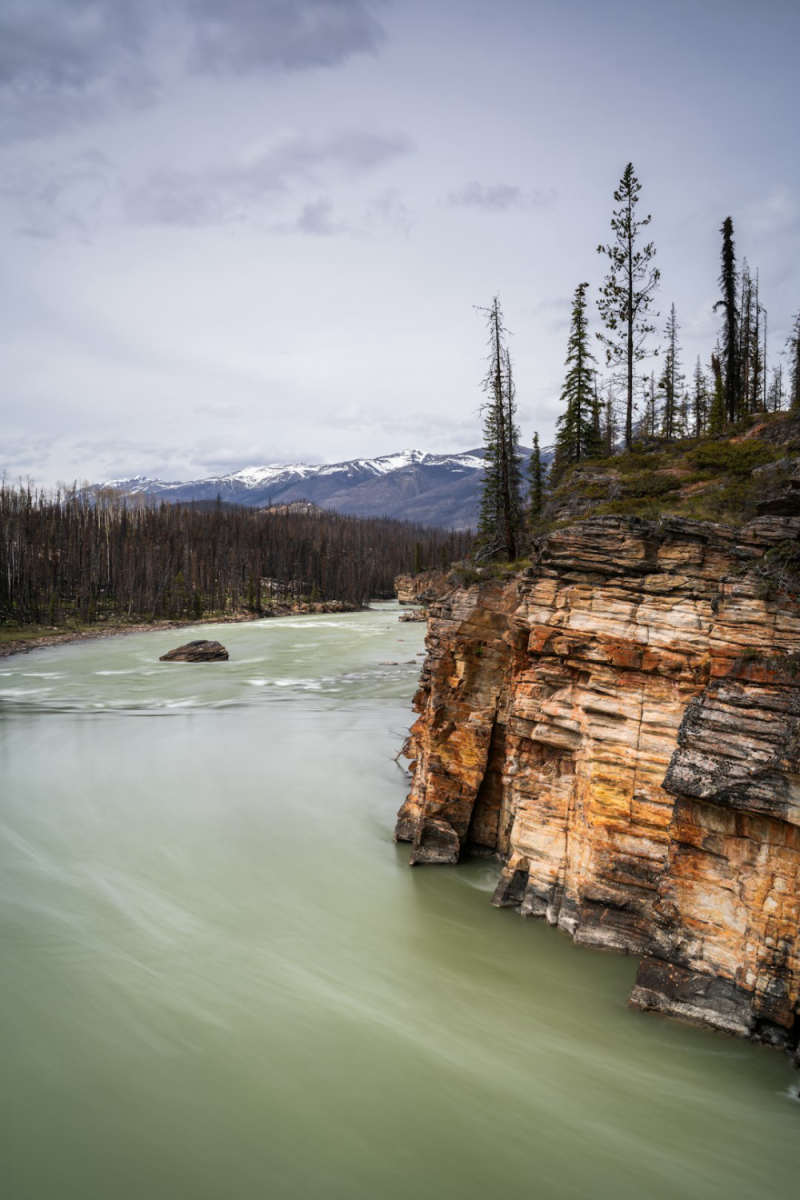 Wall Poster - Coral Reef in the Canadian Rockies
