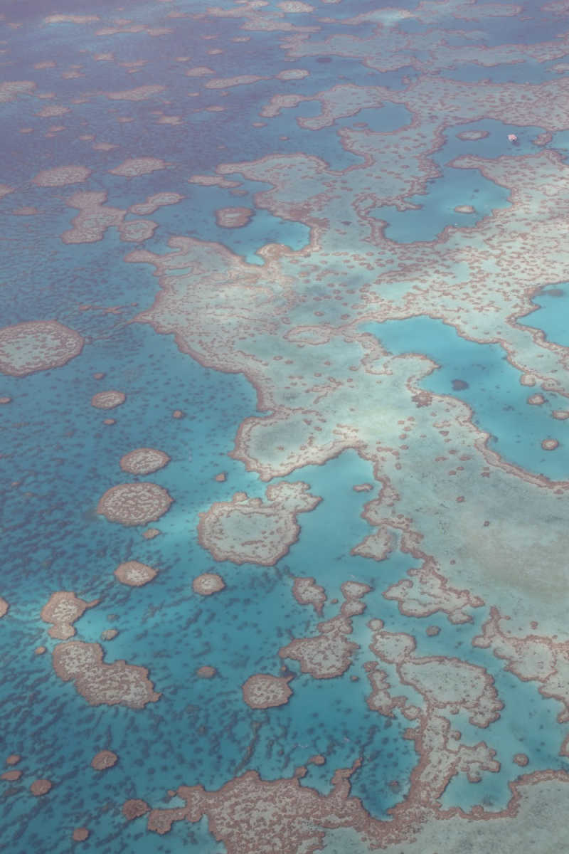 Wall Poster - Coral Reef in the Great Barrier Reef