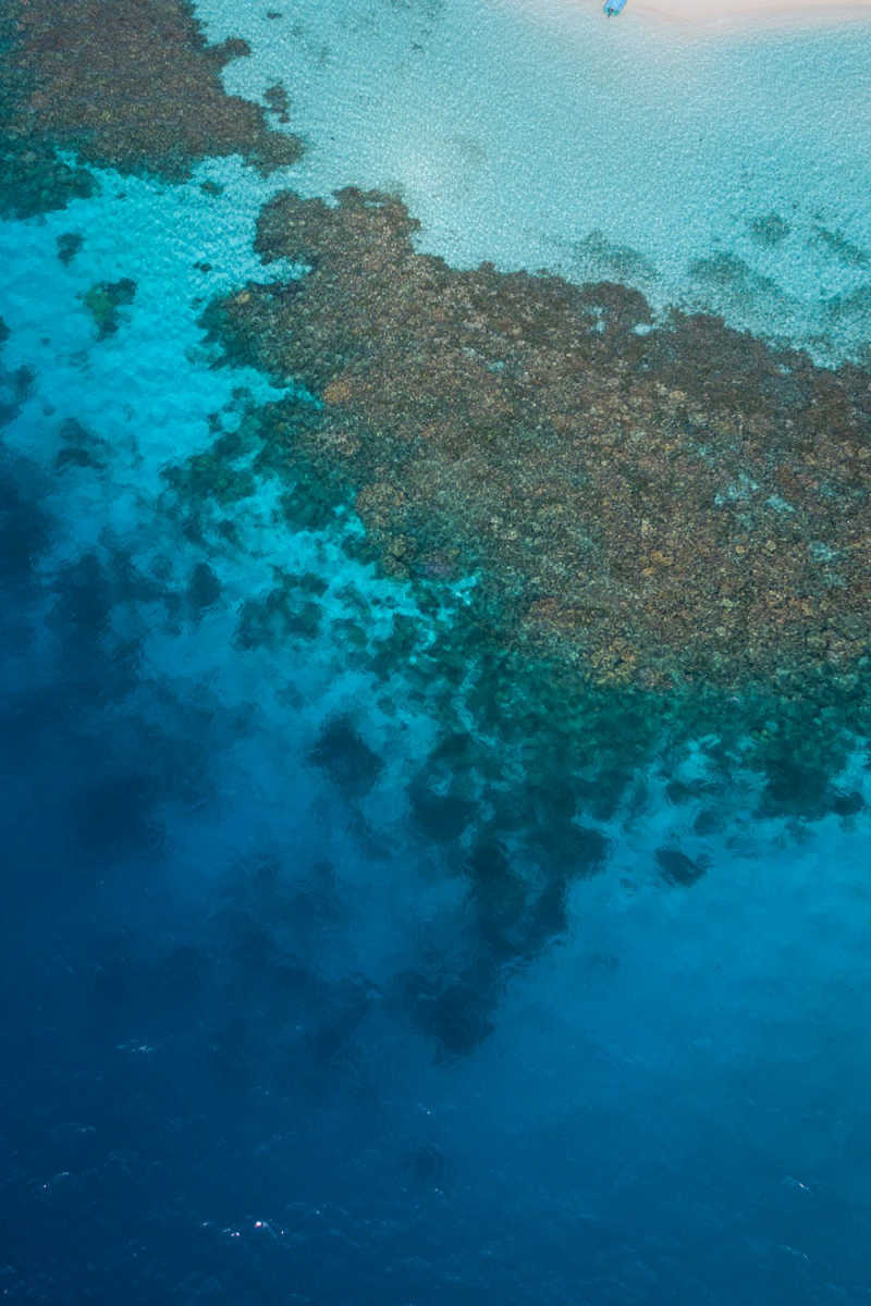 Wall Poster - Coral Reef in the Maldives
