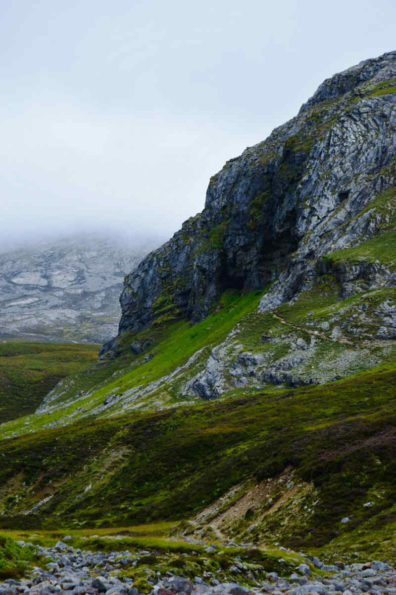 Wall Poster - Coral Reef in the Scottish Highlands