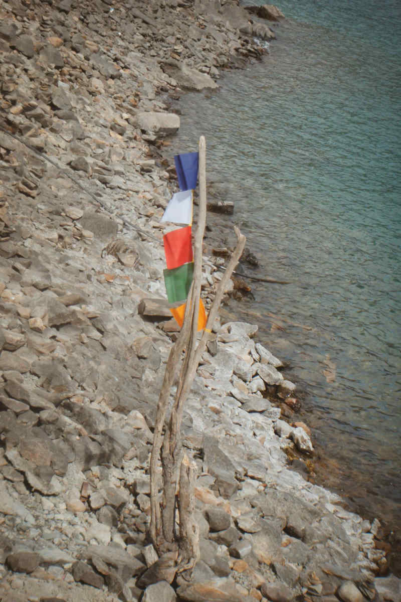 Wall Poster - Coral Reef in Tibet