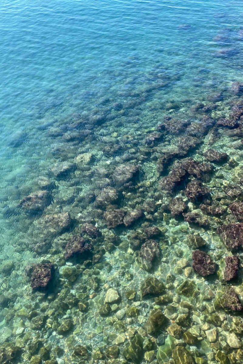 Wall Poster - Coral Reef in Turkey