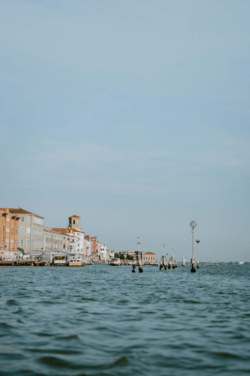 Wall Poster - Coral Reef in Venice