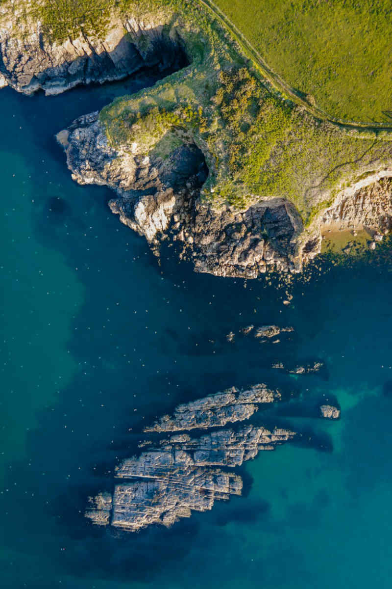 Wall Poster - Coral Reef in Wales