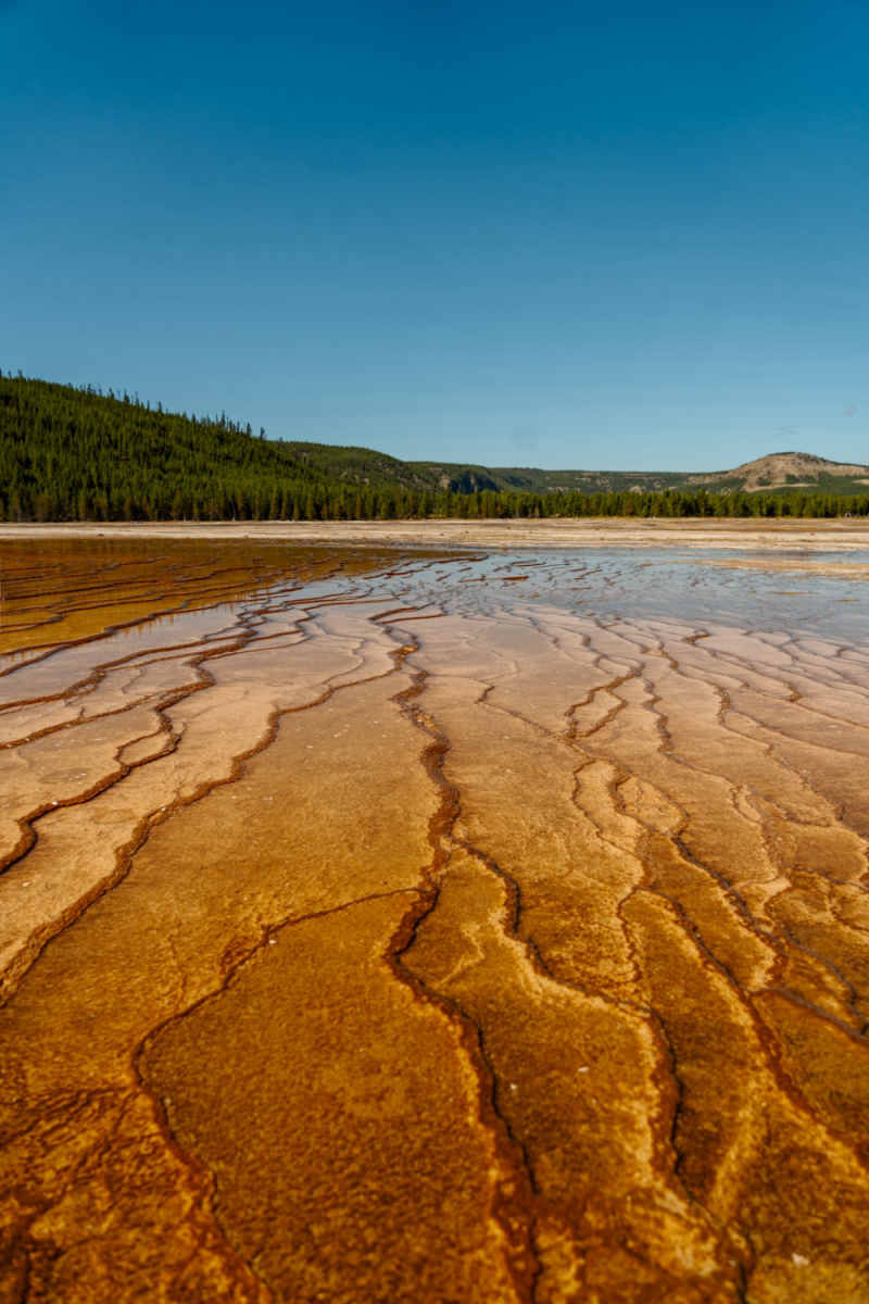 Wall Poster - Coral Reef in Yellowstone
