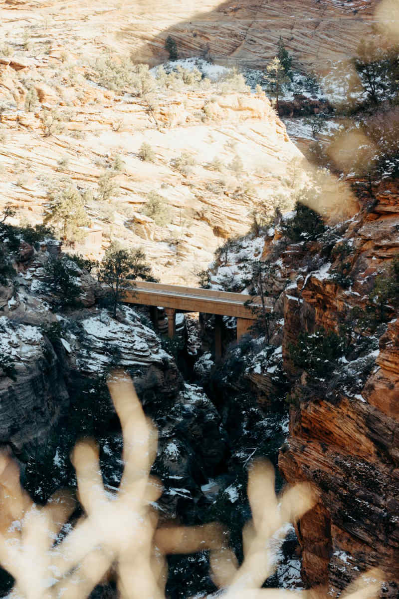 Wall Poster - Coral Reef in Zion National Park