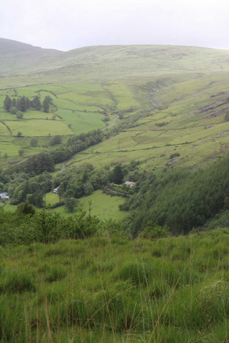 Wall Poster - Countryside in Ireland