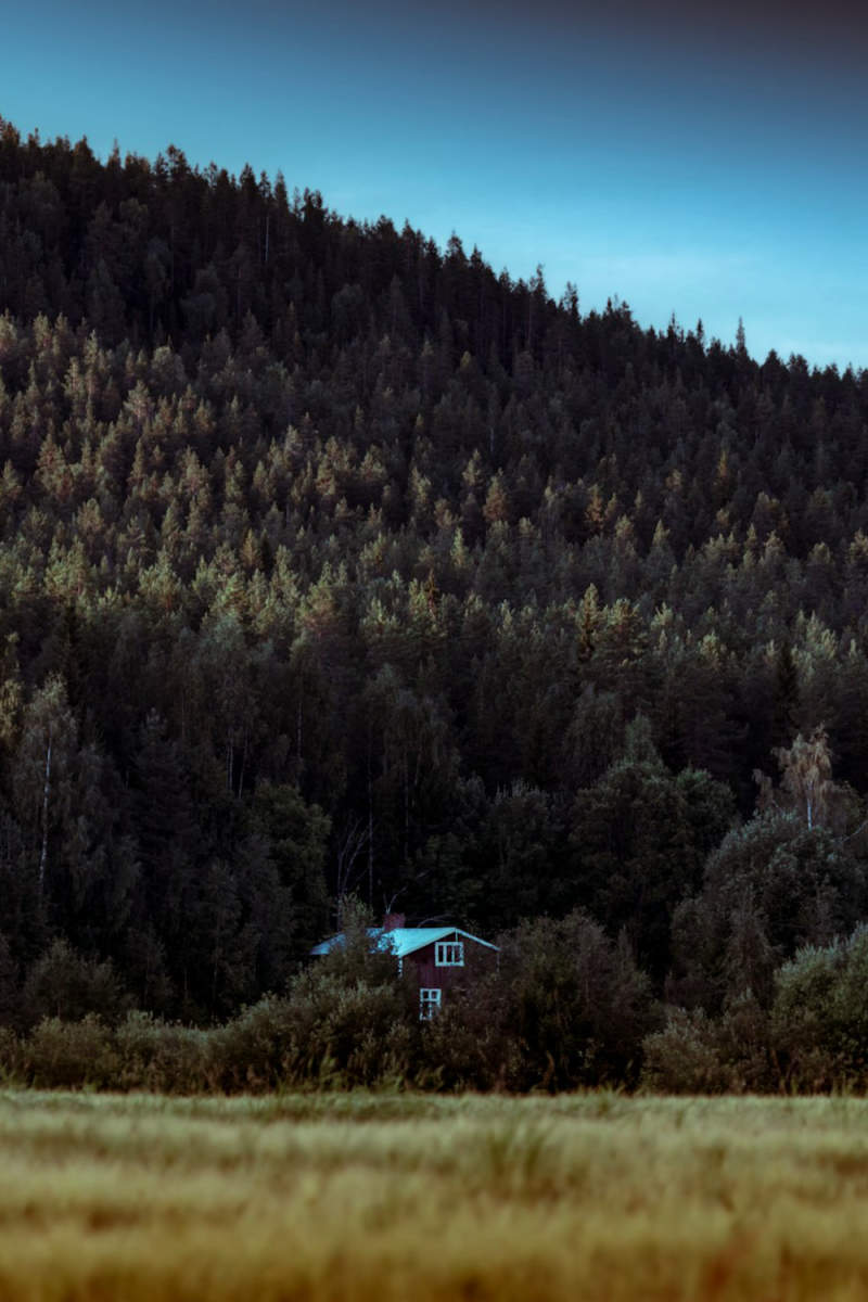 Wall Poster - Countryside in Lapland