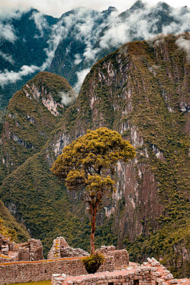 Wall Poster - Countryside in Machu Picchu