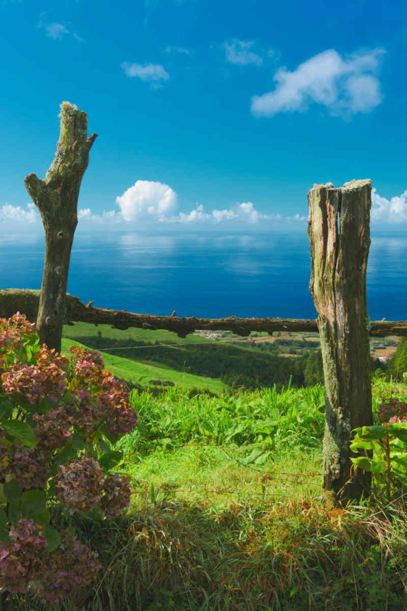 Wall Poster - Countryside in the Azores