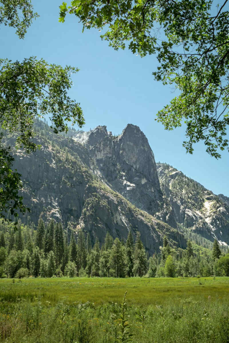 Wall Poster - Countryside in Yosemite