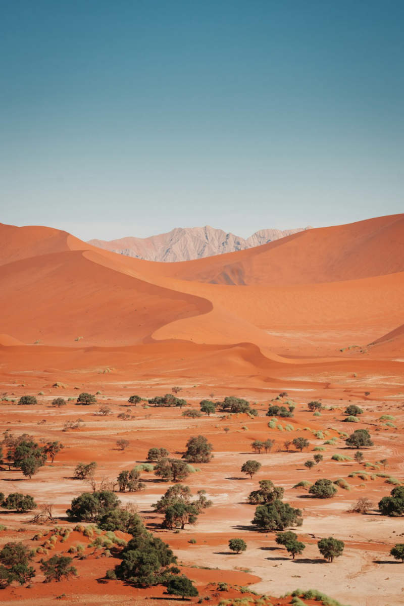 Wall Poster - Desert in Namibia