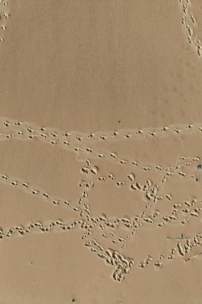 Wall Poster - Desert in Portugal