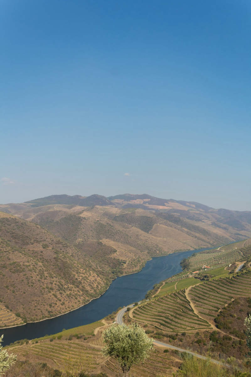 Wall Poster - Desert in the Douro Valley