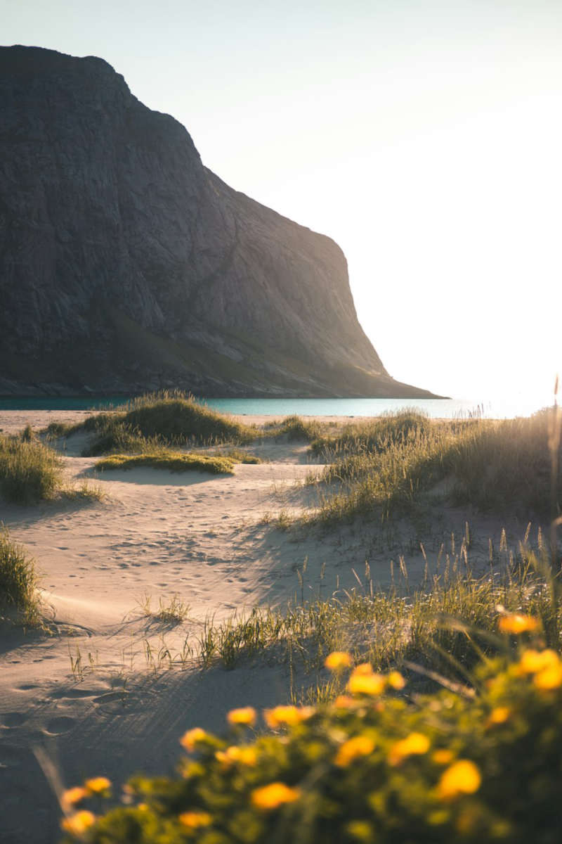 Wall Poster - Desert in the Lofoten Islands