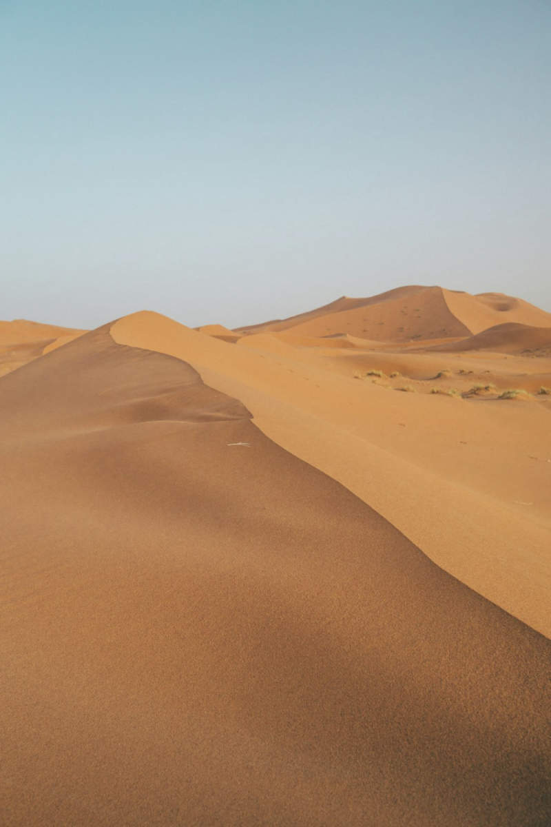 Wall Poster - Desert in the Sahara