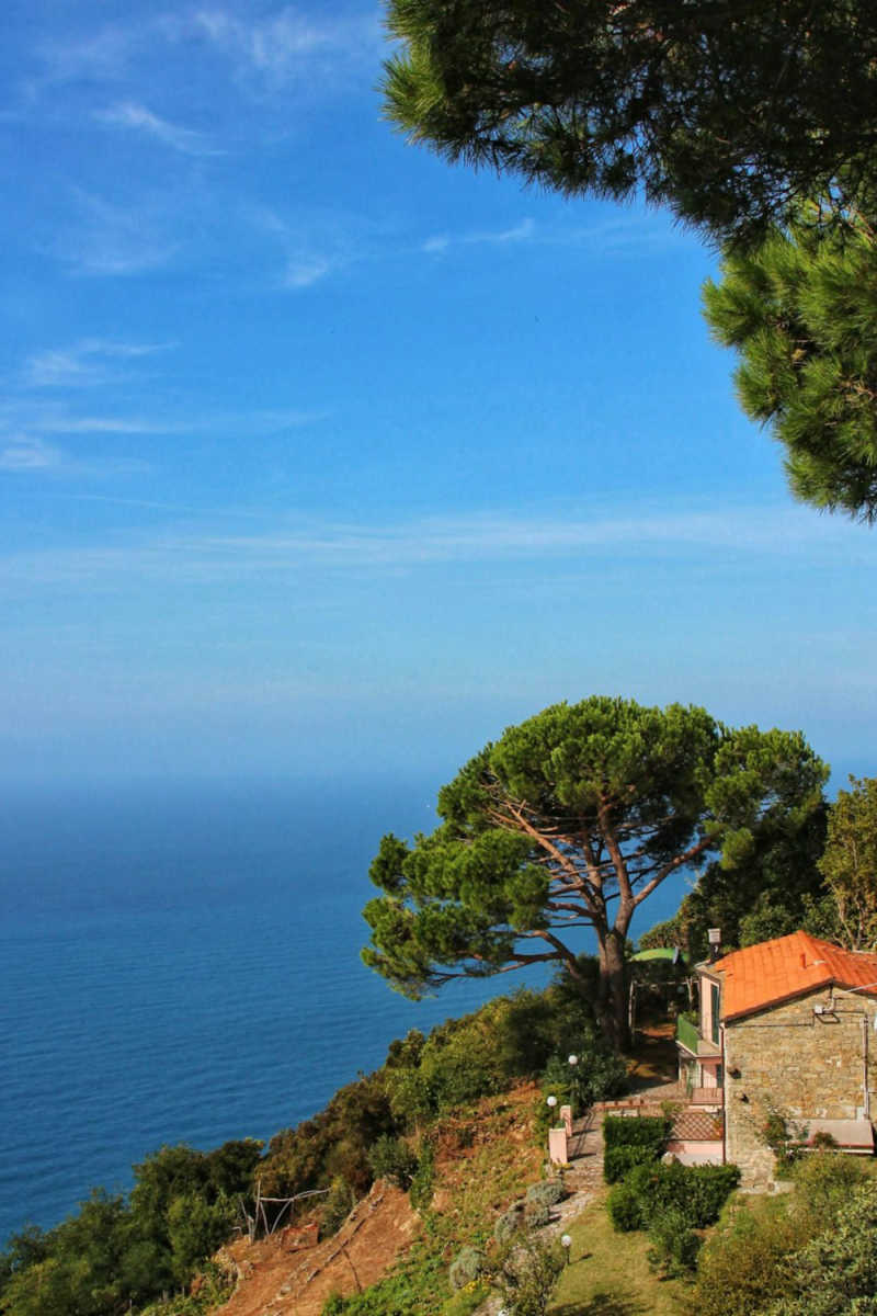 Wall Poster - Farmhouse in Cinque Terre