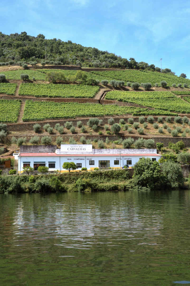 Wall Poster - Farmhouse in the Douro Valley