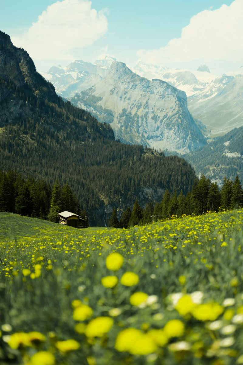 Wall Poster - Farmhouse in the Swiss Alps