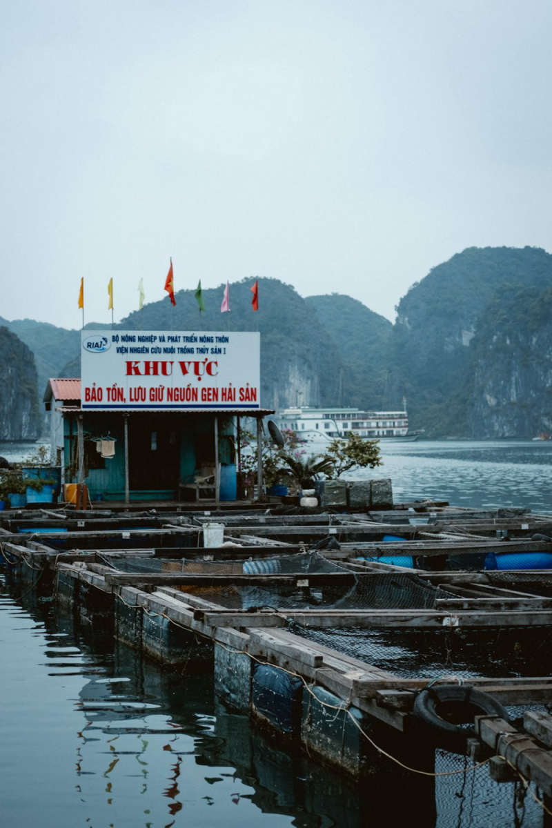 Wall Poster - Fishing Village in Halong Bay