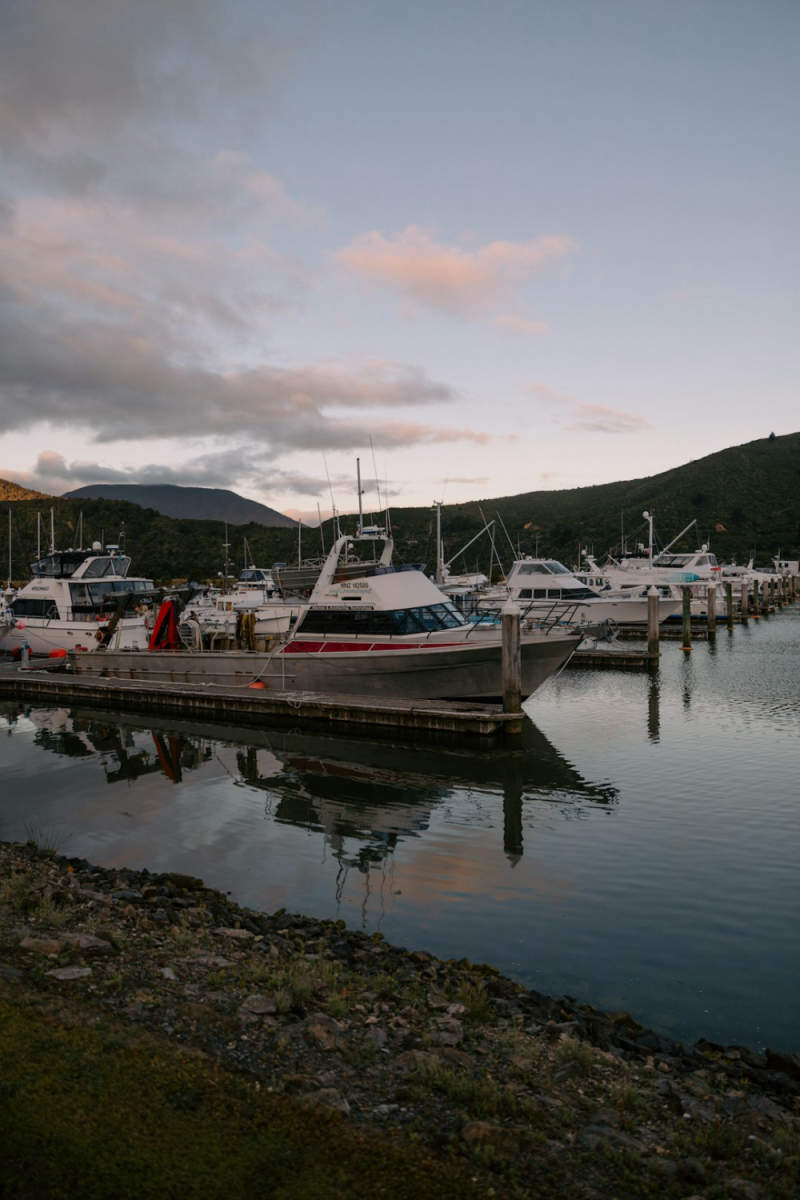 Wall Poster - Fishing Village in New Zealand