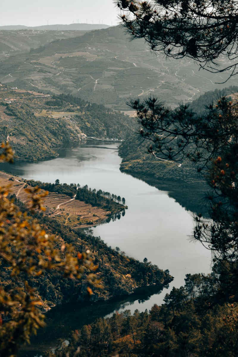 Wall Poster - Fjord in the Douro Valley