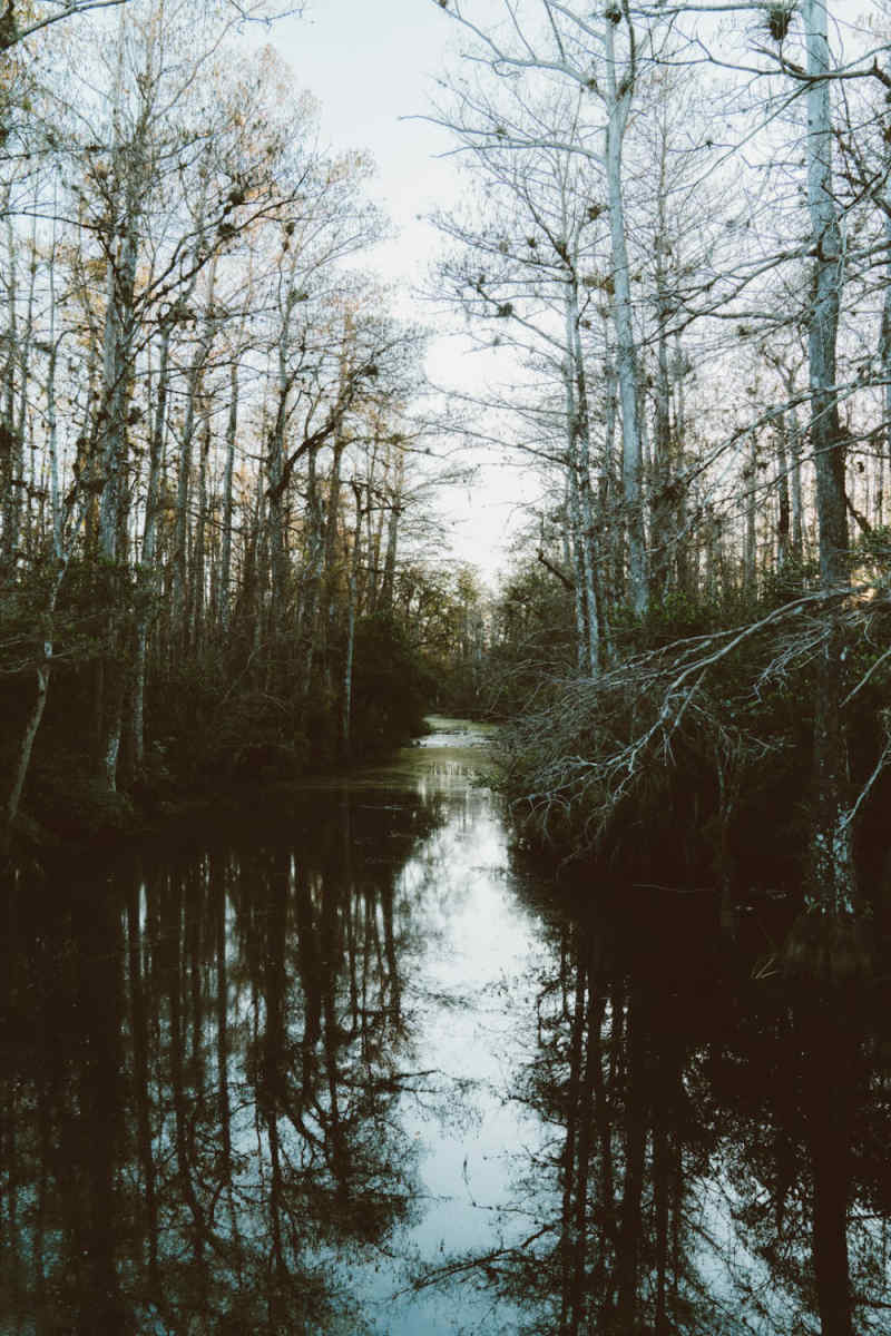 Wall Poster - Fjord in the Everglades