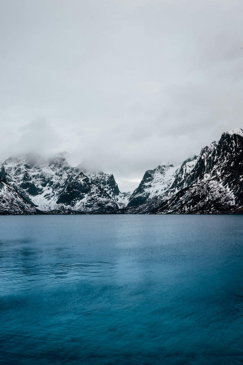 Wall Poster - Fjord in the Lofoten Islands
