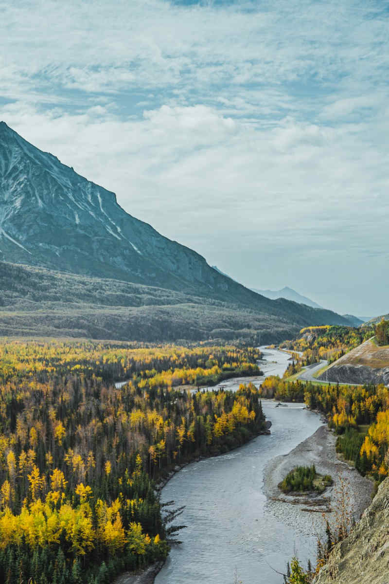 Wall Poster - Forest in Alaska