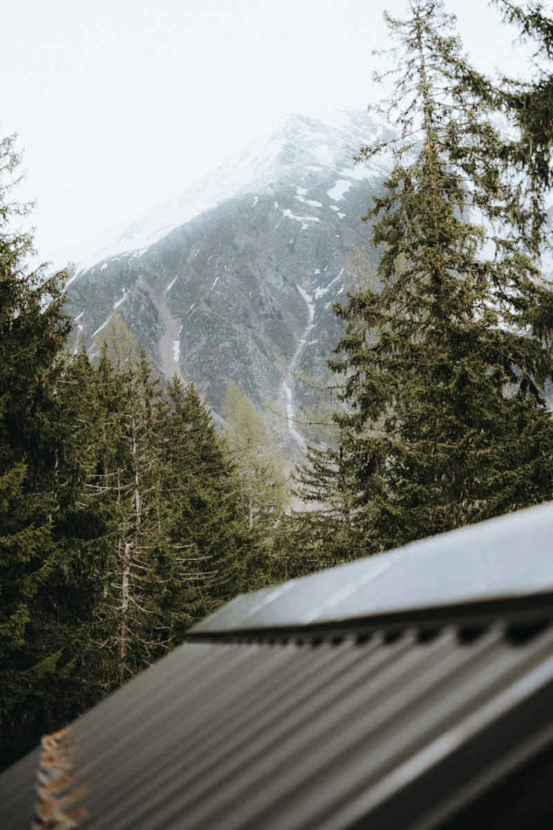 Wall Poster - Forest in Chamonix