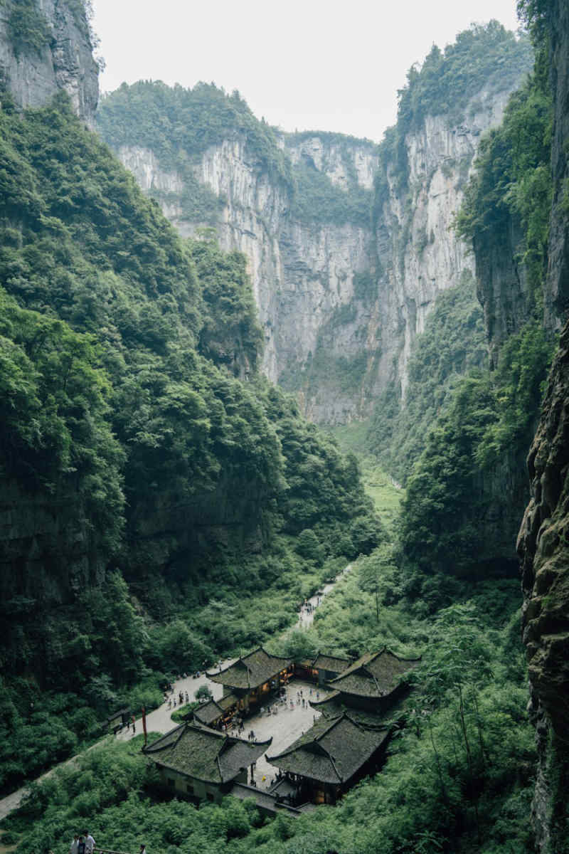 Wall Poster - Forest in China