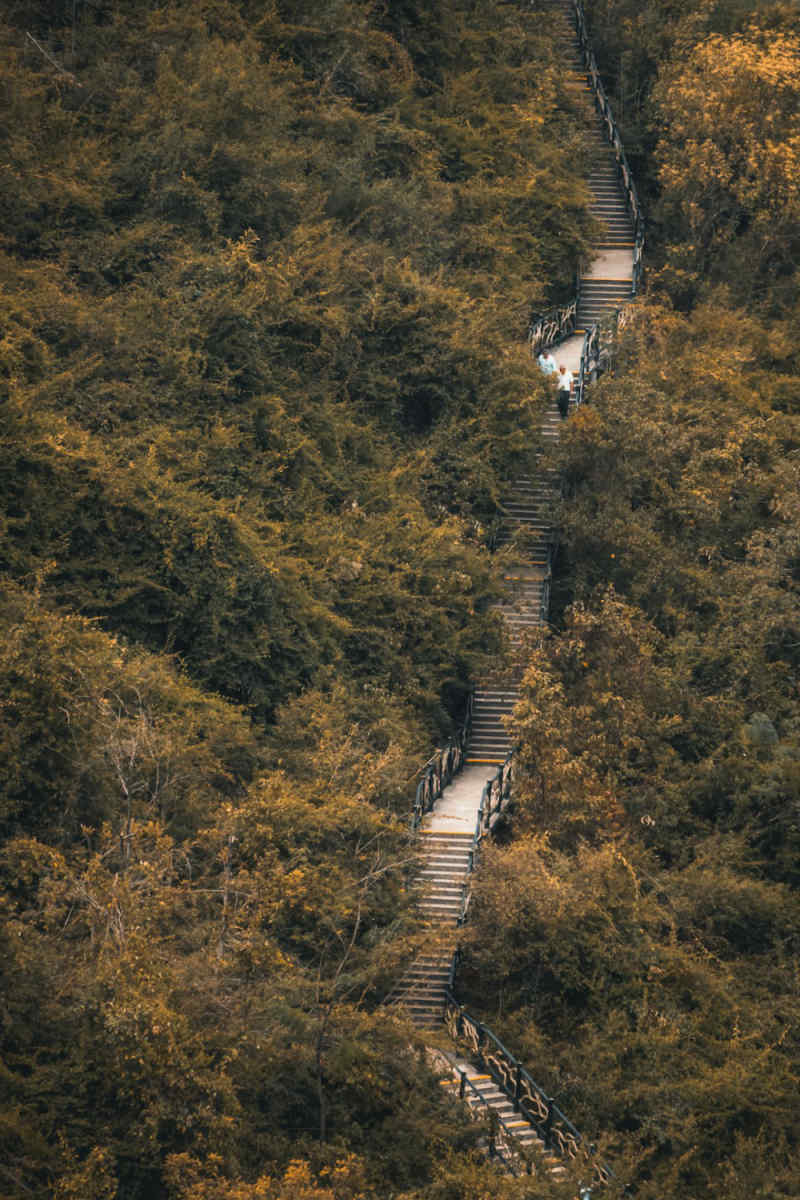 Wall Poster - Forest in Guilin