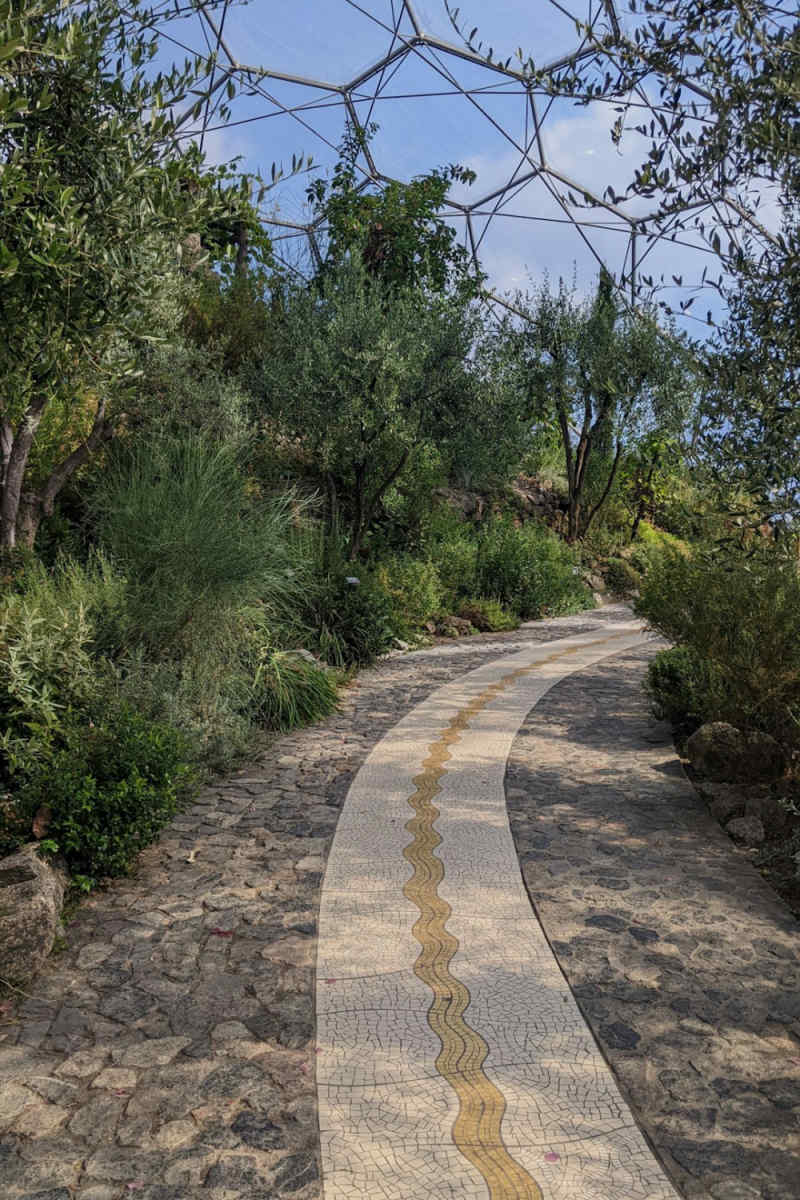 Wall Poster - Forest in Santorini