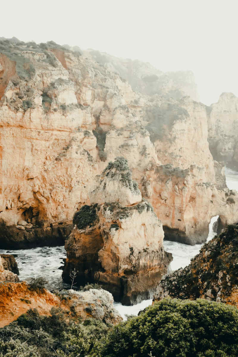 Wall Poster - Forest in the Algarve
