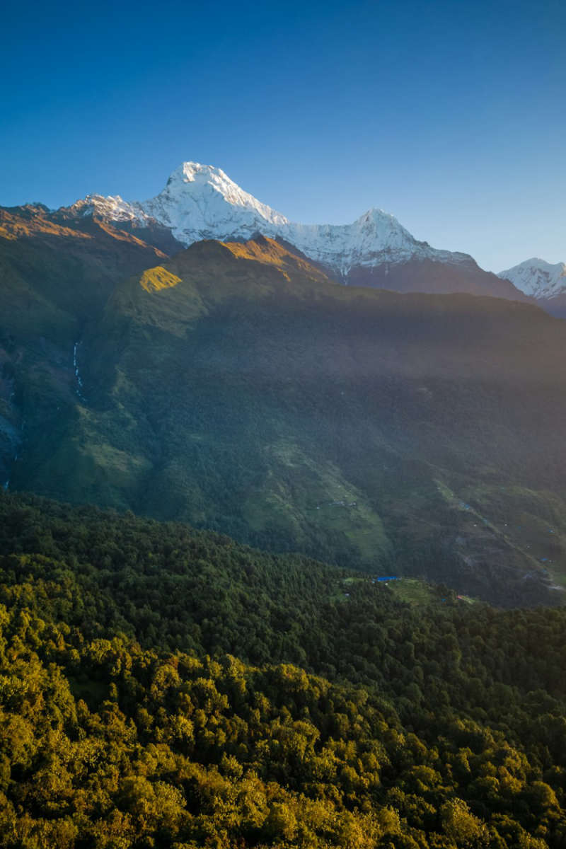 Wall Poster - Forest in the Himalayas