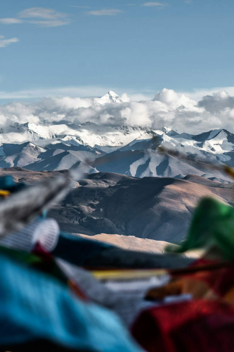 Wall Poster - Forest in Tibet