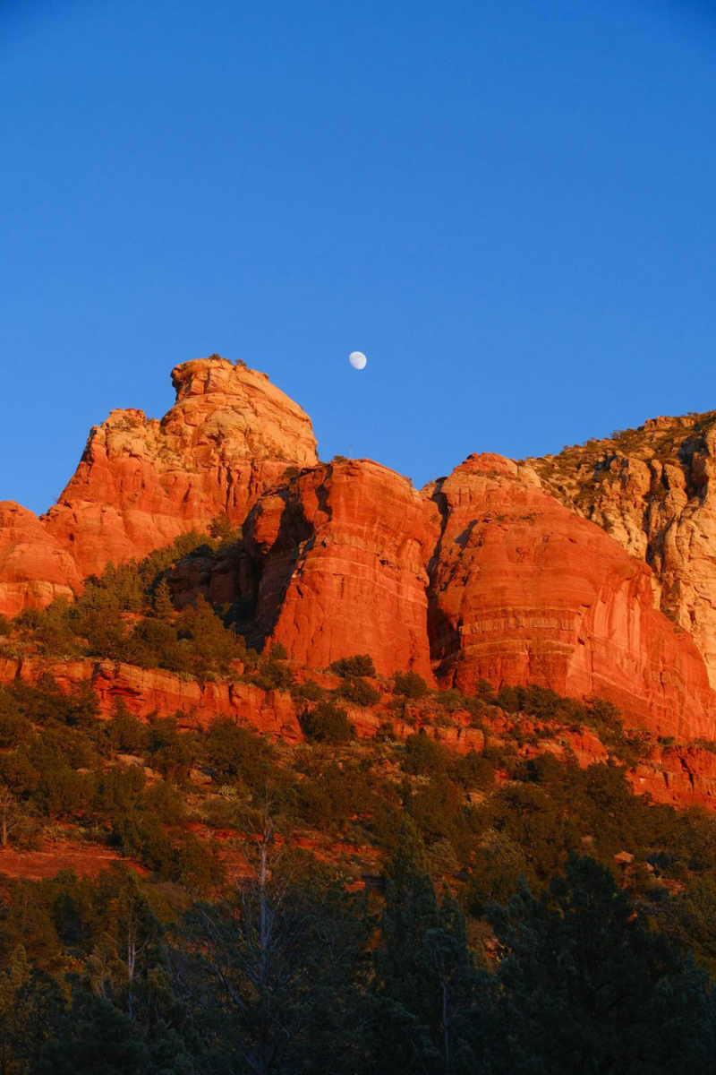 Wall Poster - Full Moon in Sedona