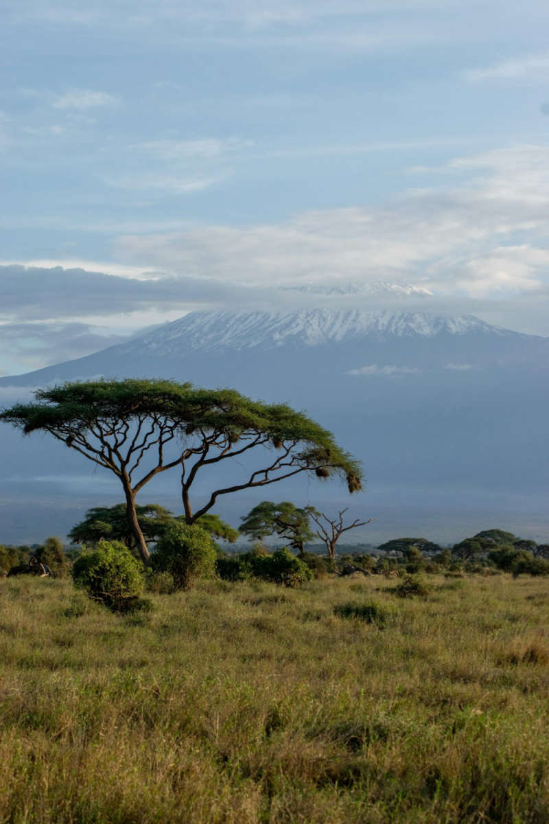 Wall Poster - Glacier in Kenya