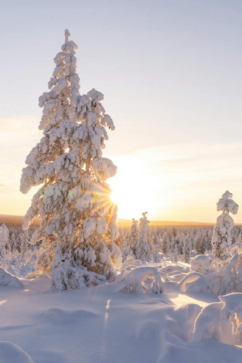 Wall Poster - Glacier in Lapland