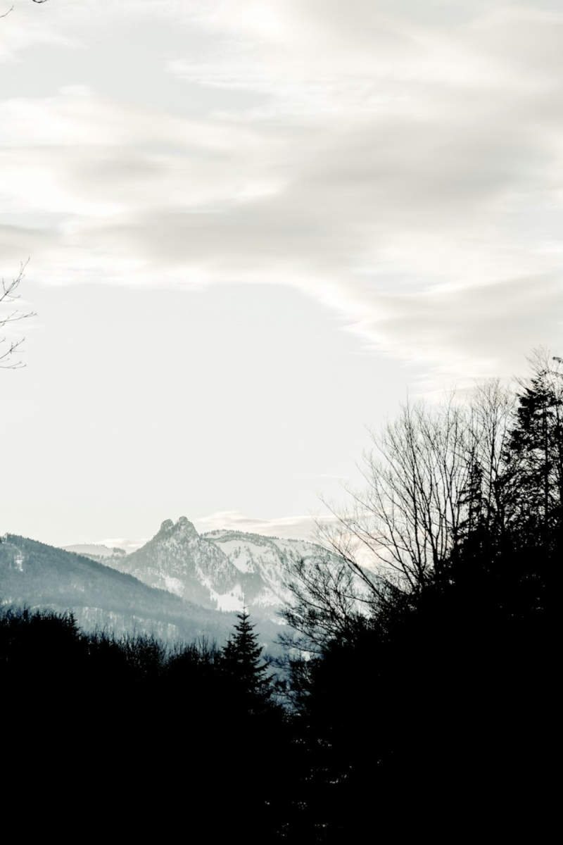 Wall Poster - Glacier in the Black Forest